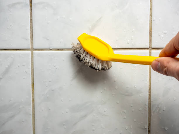 Best Mold Cleaning Services  in Pembroke, GA