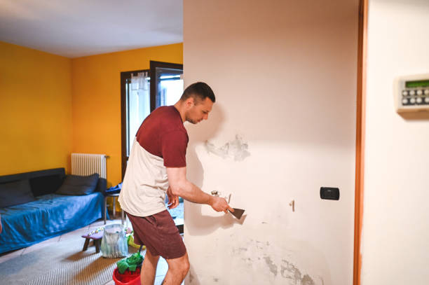 Best Same-Day Mold Removal  in Pembroke, GA